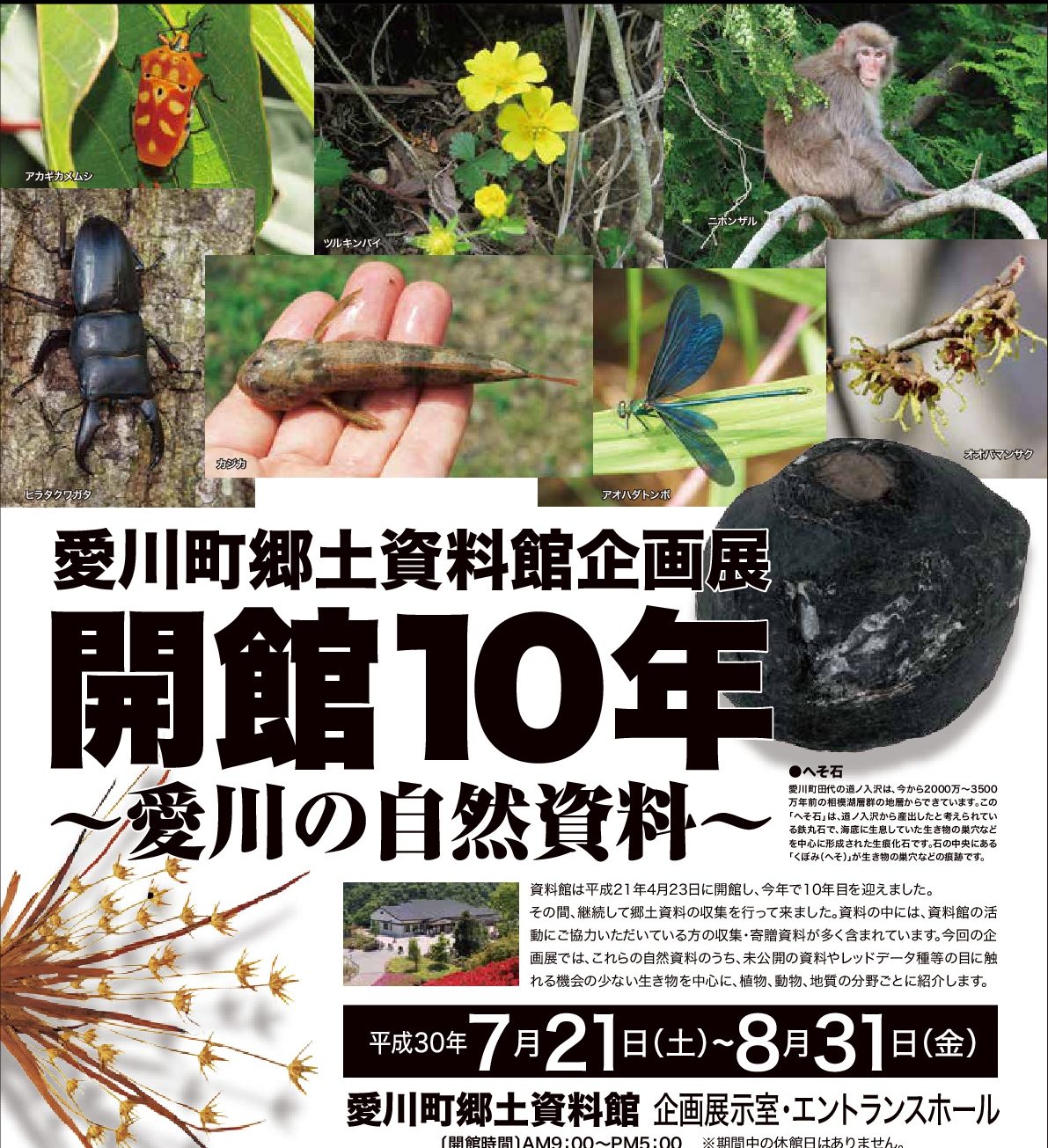 18年7月21日 8月31日 愛川町郷土資料館企画展 開館10年 愛川の自然資料 ポケットに愛川 ポケットに愛川