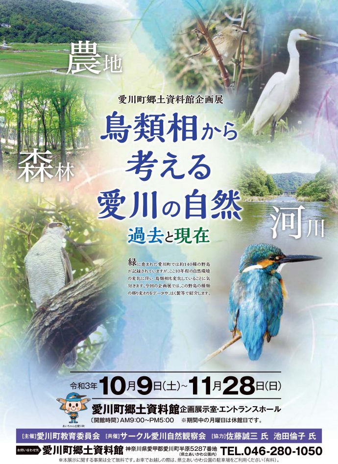 愛川町　郷土資料館　企画展　博物館　野鳥　鳥　絶滅　レッドデータ　カワセミ
